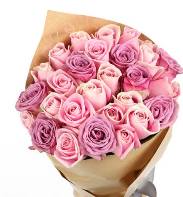 mixed-pink-and-purple-roses_1_large